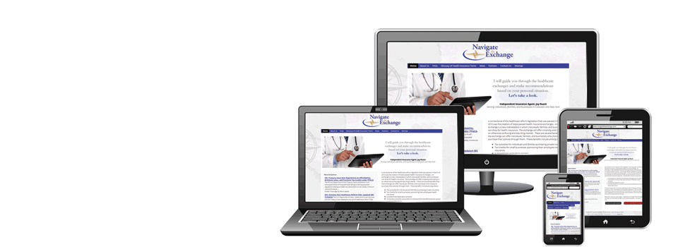 Orion Network Solutions, Inc. – Services