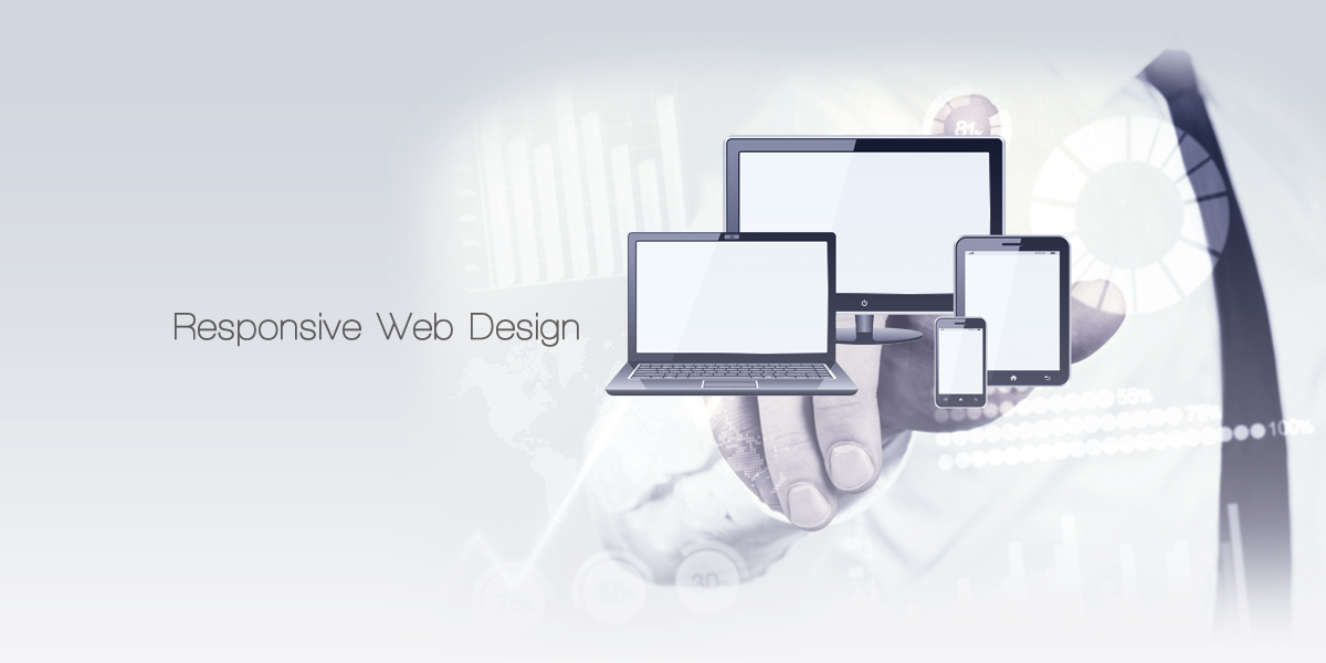 Orion Network Solutions, Inc. – Services